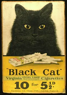 Showcard: Showcard, Black Cat cigarettes
