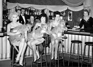 Nightclubs: Showgirls with lions babies