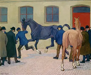 Tattersalls: Showing at Tattersalls