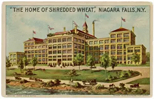 Cereals: SHREDDED WHEAT FACTORY