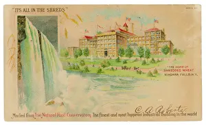 Cereals: SHREDDED WHEAT'S HOME