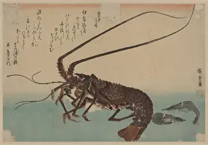 Shrimp: Shrimp and lobster
