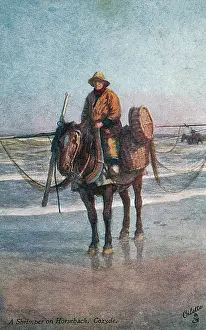 Nieuport: SHRIMPER/COXYDE, BELGIUM