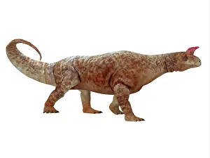 Archosaur: Shringasaurus dinosaur, side profile