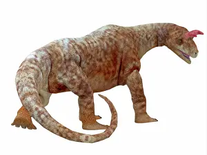 Archosaur: Shringasaurus dinosaur, rear view of tail