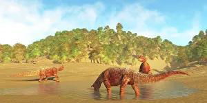 Archosaur: Shringasaurus dinosaurs gather around a pool of