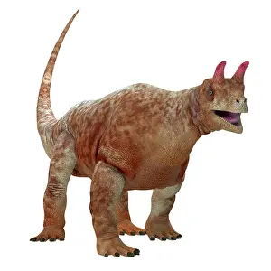 Ugliness: Shringasaurus reptile from tthe Triassic period