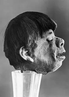 Originating: A shrunken head, 1930