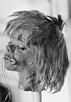Originating: A shrunken head, 1930