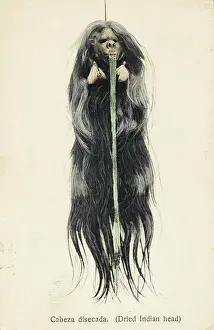 Shrunken: Shrunken Head - Brazil