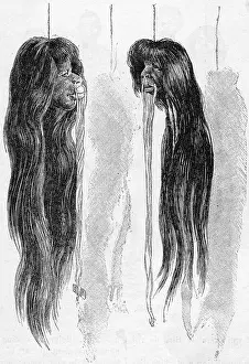 Significance: SHRUNKEN HEADS