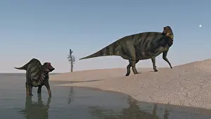 Iguanodont: Two Shuangmiaosaurus dinosaurs on the shoreline
