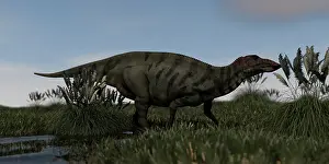 Iguanodont: Shuangmiaosaurus in swamp water