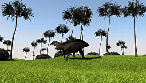 Iguanodont: Shuangmiaosaurus walking across a grassy field