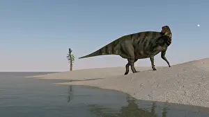 Iguanodont: Shuangmiaosaurus walking along the shoreline