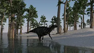Iguanodont: Shuangmiaosaurus walking along the shoreline of a ?