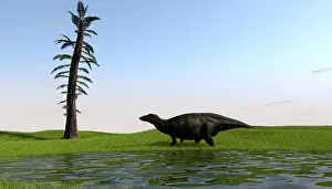 Iguanodont: Shuangmiaosaurus walking through a swamp