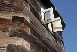 Redwood: Shutter Detail Fort Ross