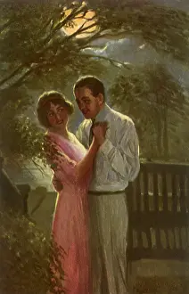 Pokes: Shy by Moonlight