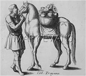 Indignant: SHYING PACKHORSE