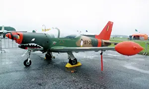 Aerienne: SIAI-Marchetti SF.260MB ST-33