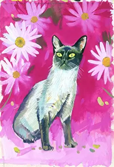 Shannon: Siamese Cat with large white daisies