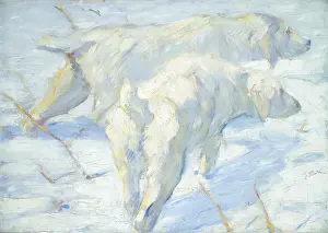 Bsloc1606: Siberian Dogs in the Snow