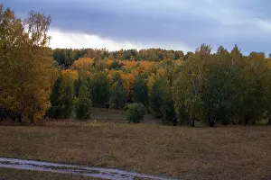 Akademgorodok: Siberian Fall landscape, Akademgorodok, ?