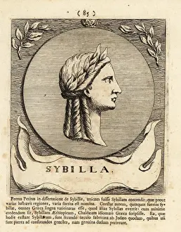 Sybilla: A Sibyl, female prophet or oracle of Ancient Greece