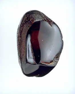 Oligocene: Sicilian amber