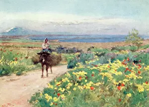 Siragusa: SICILY/SCENERY 1911