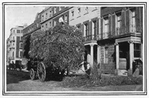 Ailments: SICKNESS/LAYING OF STRAW