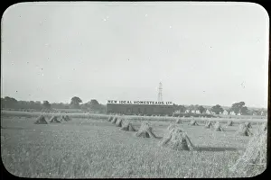 Homesteads: Sidcup Estate from Blackfen Road
