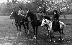 Saddled: THREE SIDE-SADDLED
