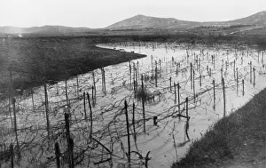 Tsingtao: Siege of Tsingtao, 1914
