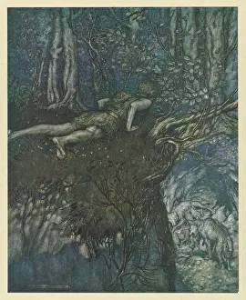 Learns: SIEGFIED IN THE FOREST