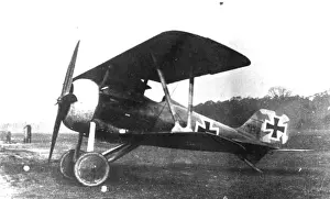 Schuckert: Siemens Schuckert DIII -only few of these impressive fa