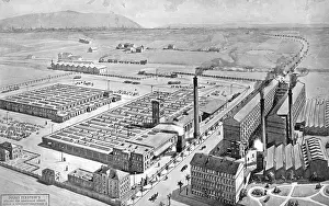 Siemens: Siemens in Vienna, 1900