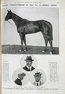 Thoroughbreds: Sierra Leone, the Racehorse