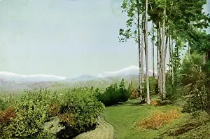 Madre: SIERRA MADRE/CALIFORNIA