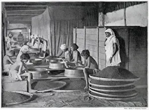 Plantations: Sifting Tea in Assam, India