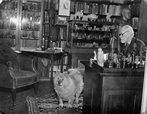Psychoanalyst: Sigmund Freud in his bureau