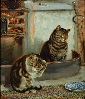 Hedley: A Sign of Bad Weather ' two cats