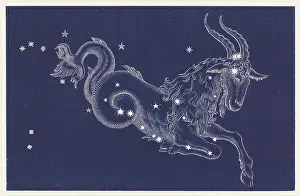 Capricorn: Sign of the Zodiac - Capricorn