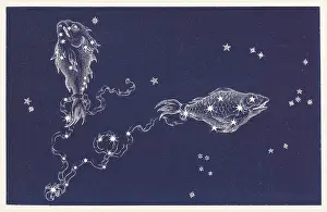 Pisces: Sign of the Zodiac - Pisces