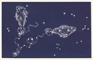 Pisces: Sign of the Zodiac - Pisces