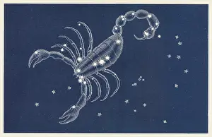 Scorpio: Sign of the Zodiac - Scorpio