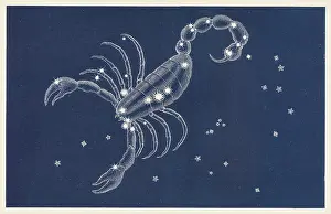 Scorpio: Sign of the Zodiac - Scorpio