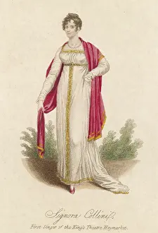 Torino: SIGNORA COLLINI