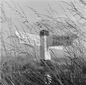 Signposts: Signpost